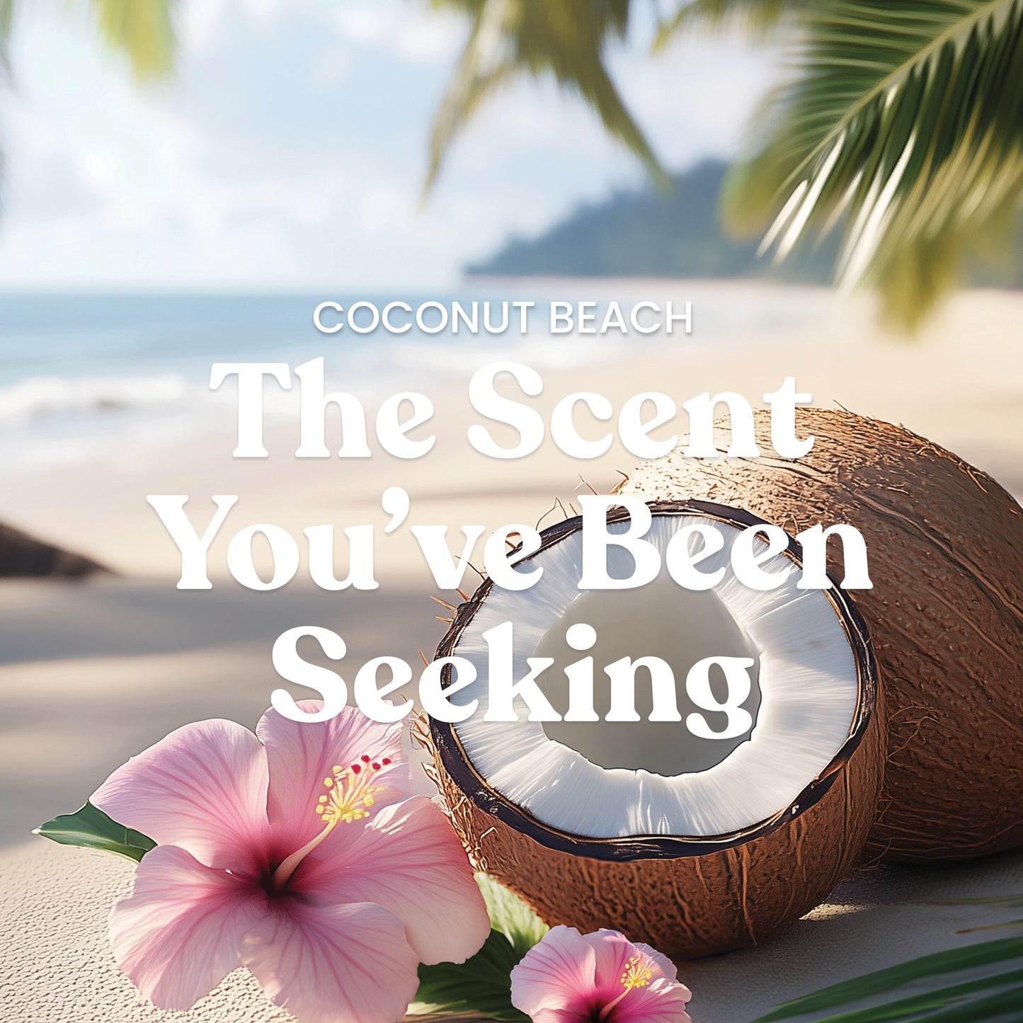 Coconut Beach
